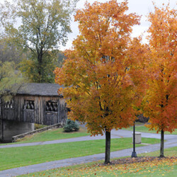 Ticonderoga Park