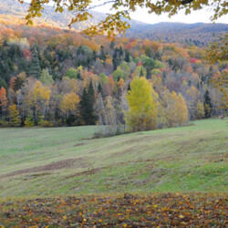 View From Lincoln Gap Road