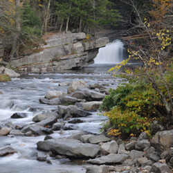 Bartlett Falls and Stream
