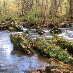Hiking at Warrior Path State Park