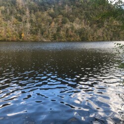 Lake at Warrior Path State Park