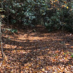 Virginia Creeper Trail