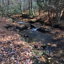 Smaller side stream on VCT