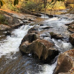 Stream Along VCT